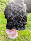 140ml Banana and Strawberry doggie ice cream