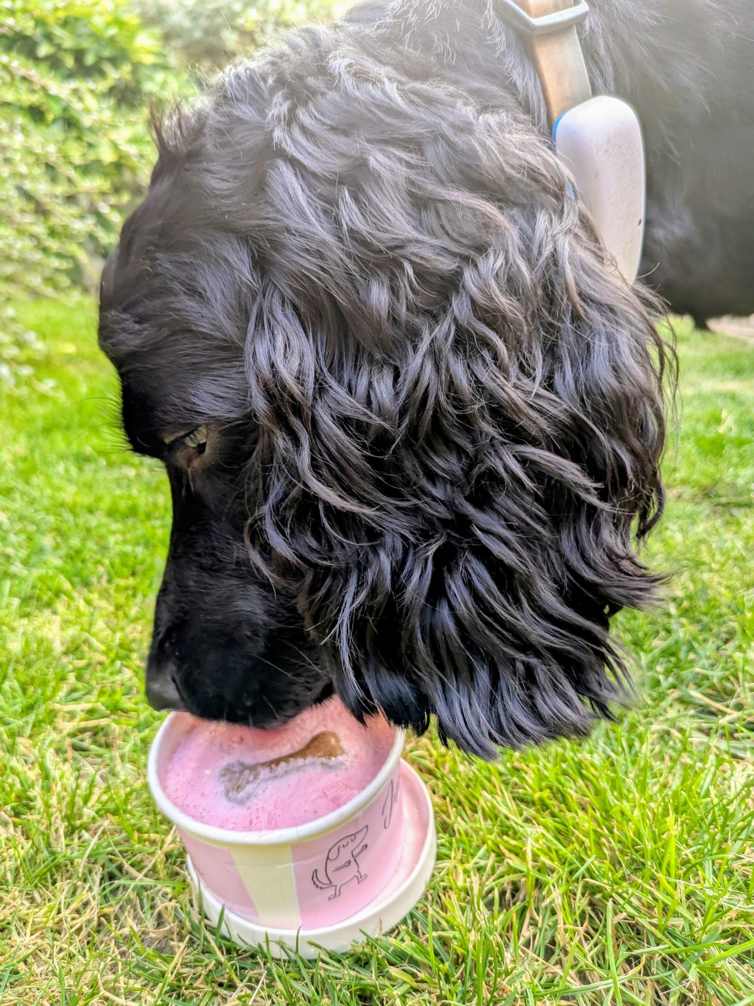 140ml Banana and Strawberry doggie ice cream